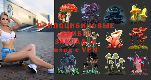 бошки Арсеньев